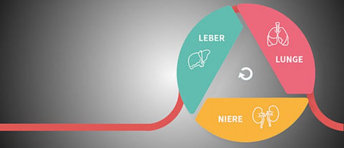 Das Bild zeiht ein ADVOS Diagramm